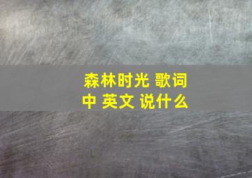 森林时光 歌词中 英文 说什么